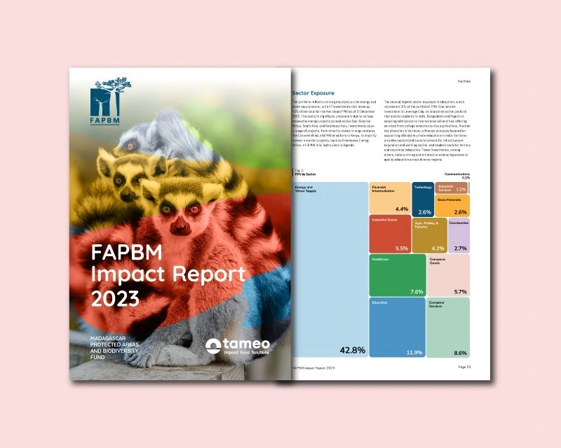 Biodiversity impact report cover featuring a lemur, beside a spread with a treemap.